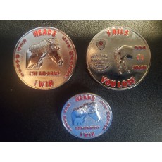 554th Step and a Half Coin with Lapel Pin